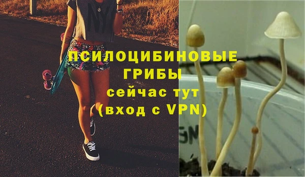 хмурый Армянск
